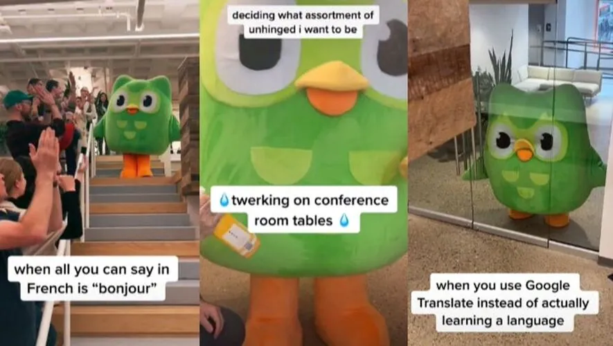Duolingo marketing strategy: Duo the Owl personification.