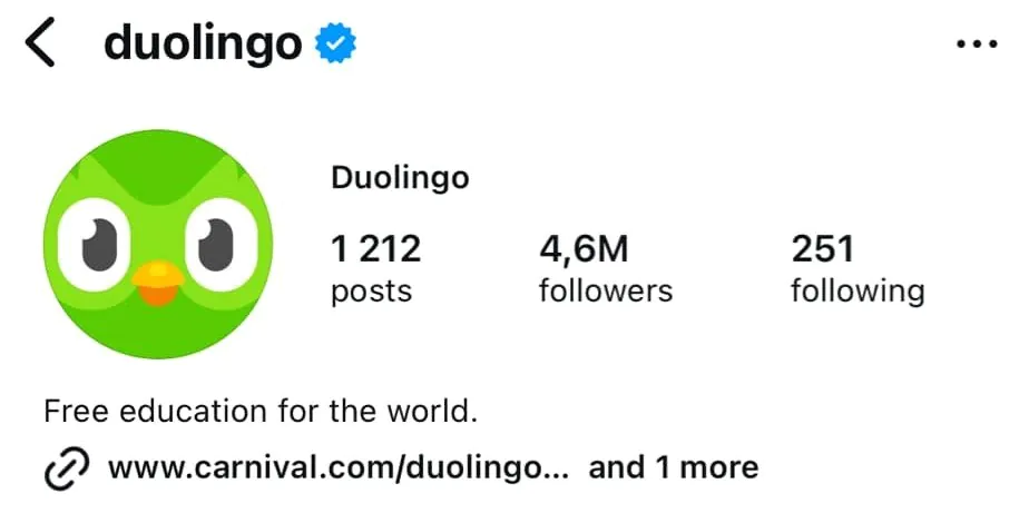 Duolingo's profile on Instagram